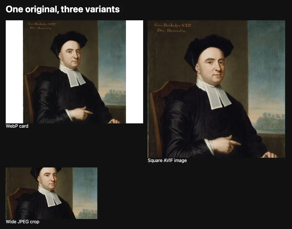 The generated gallery showing one original as a padded WebP card, a square AVIF image, and a wide JPEG crop