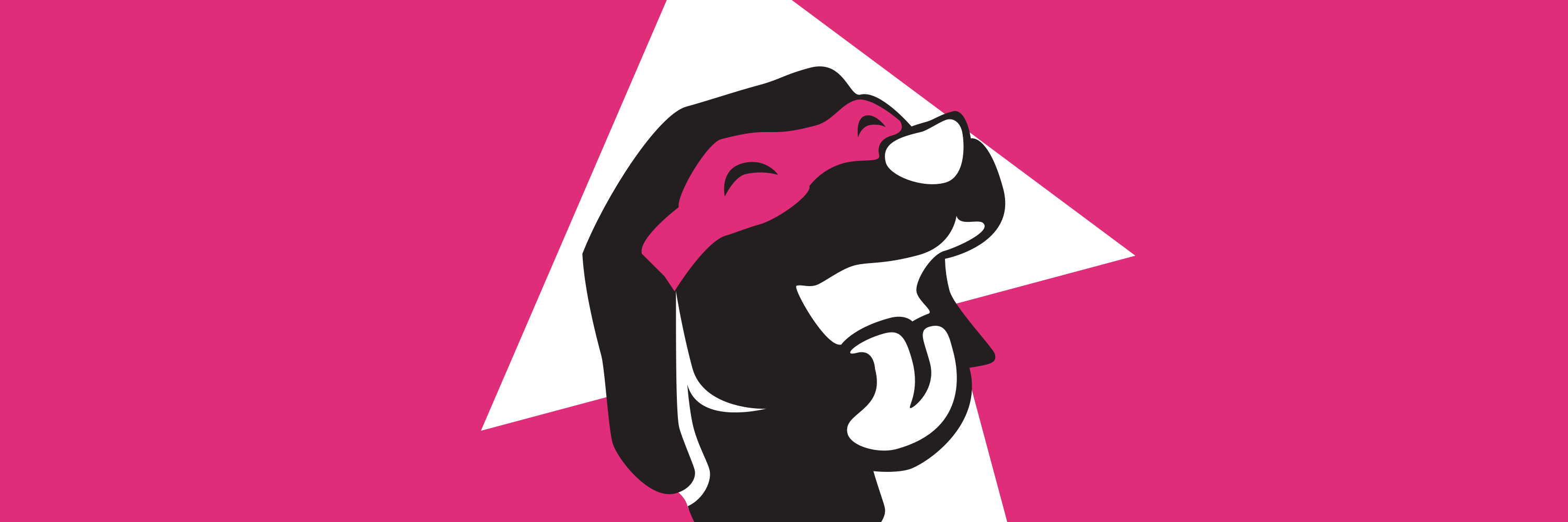 A dog face wearing a super hero mask.