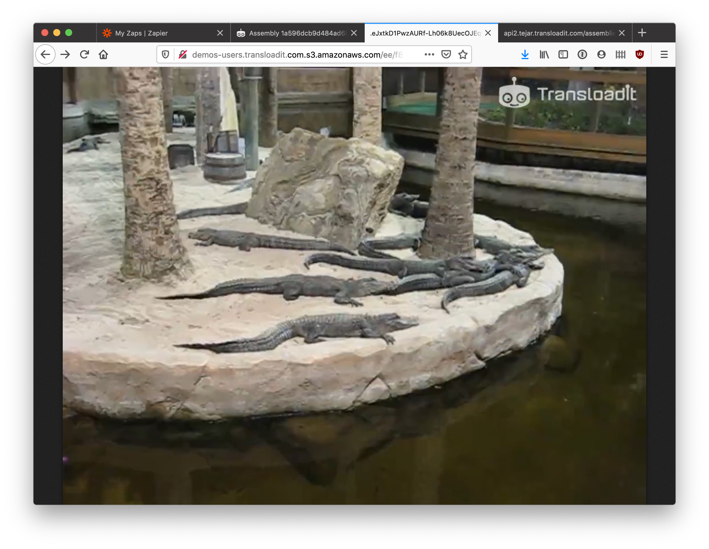 The video being played in a browser window with a Transloadit logo in the top-right.