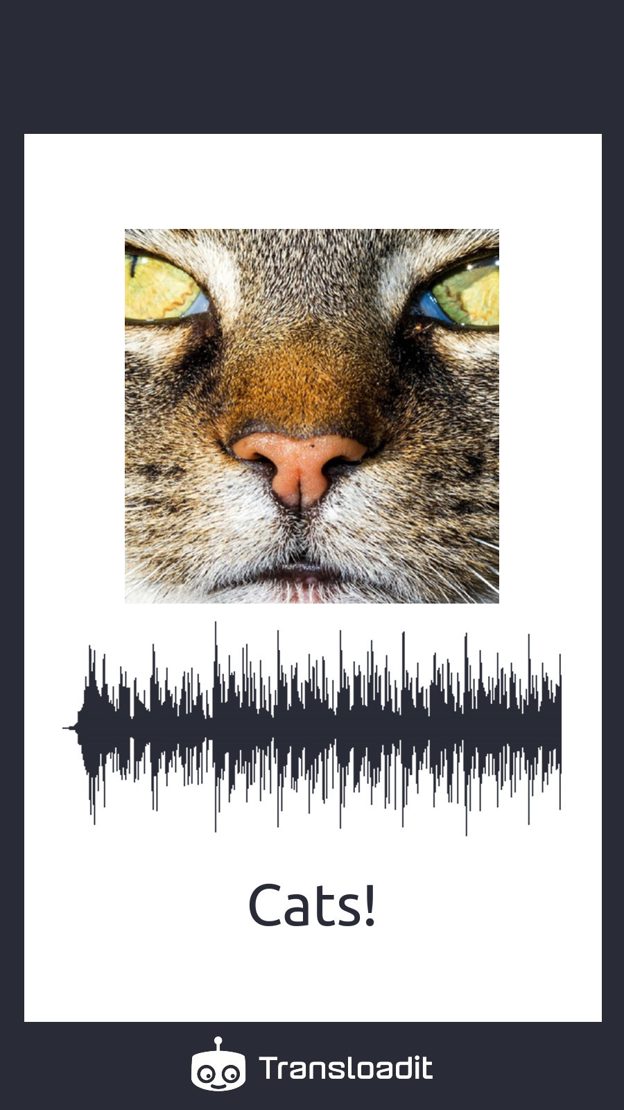 Music card with the artwork and the artist name