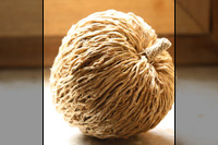 Example image