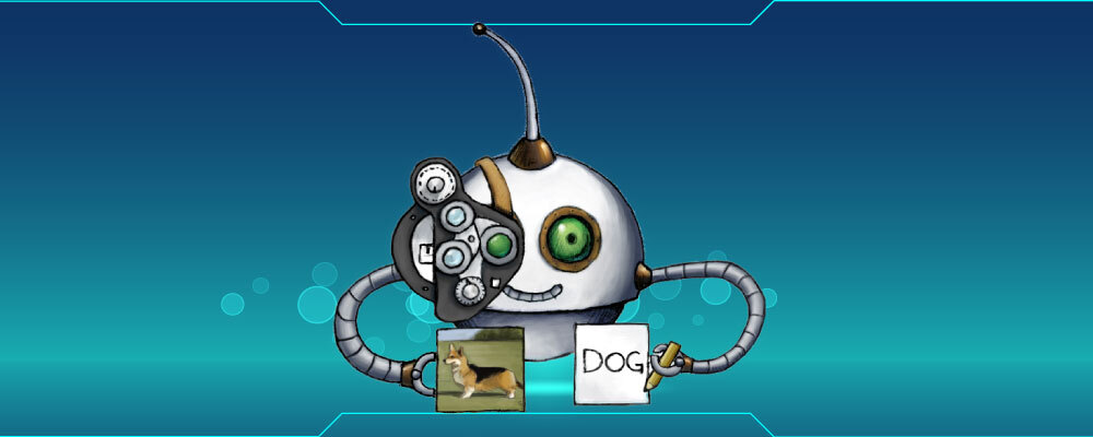 Automatically make a slideshow from recognized objects in an image