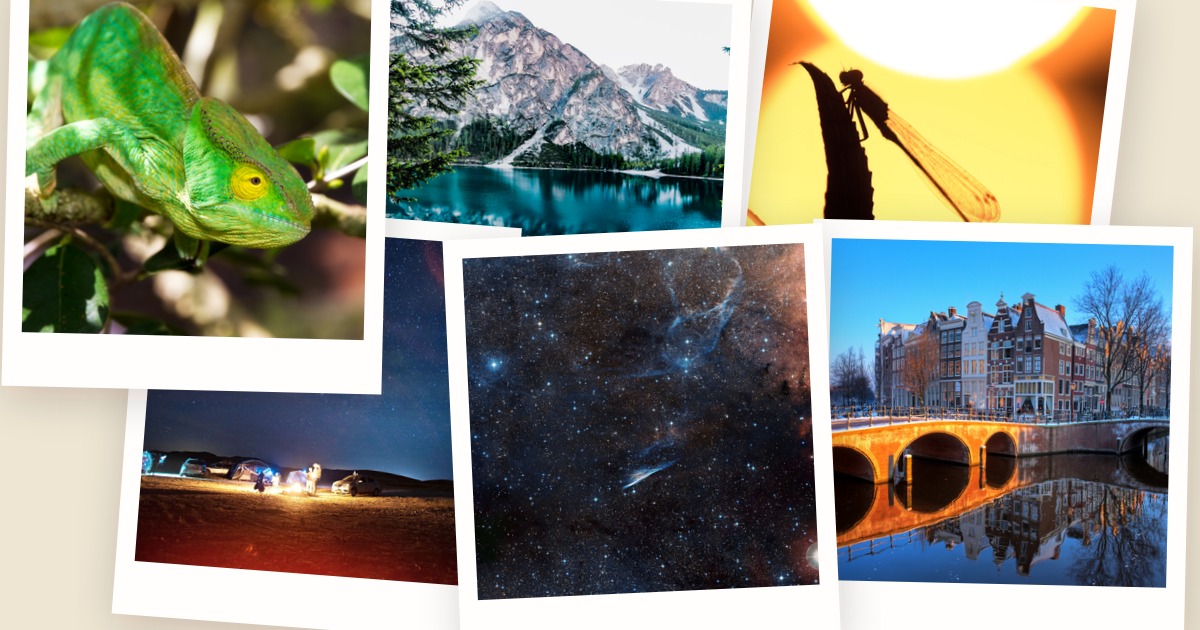 Efectos de collage para /image/merge: polaroid-stack y mosaic