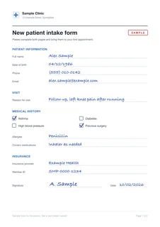 A small preview of the sample intake form